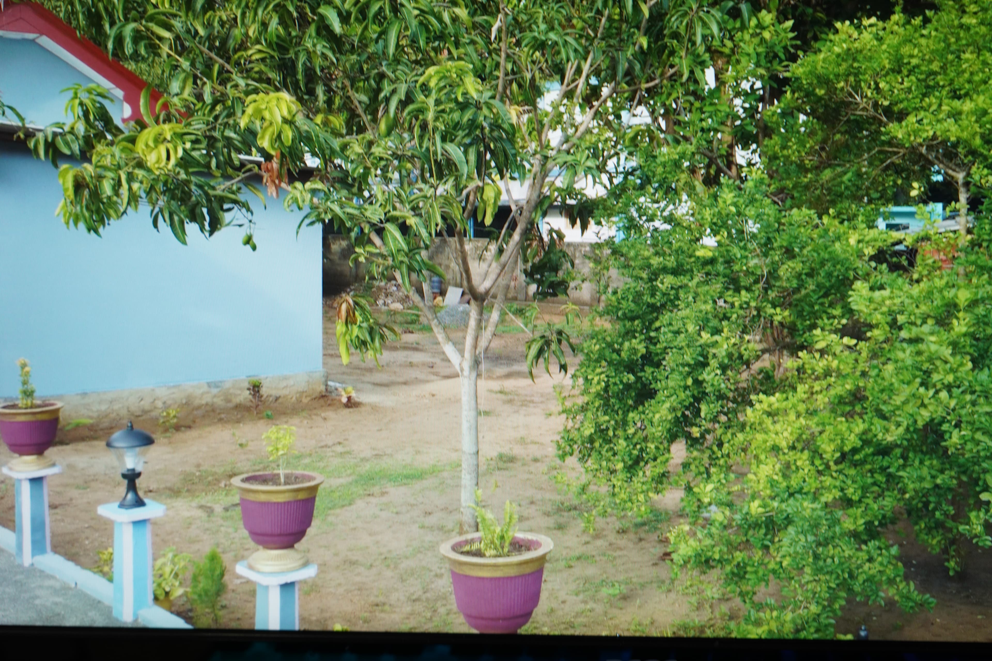 Side View of Guest House