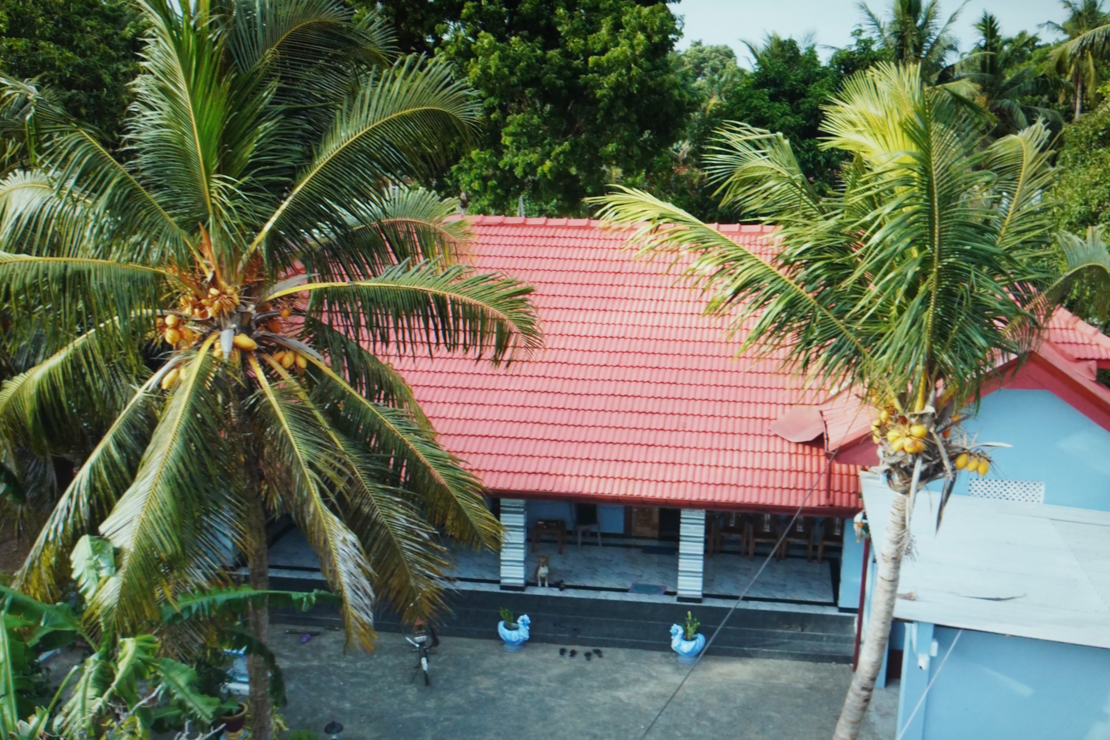 Loga Guest House exterior — A quiet escape in Sri Lanka